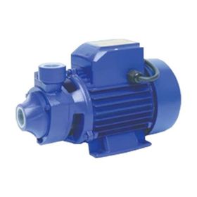 Max Extra QB60 1" 1 HP Preforikal Su Pompası
