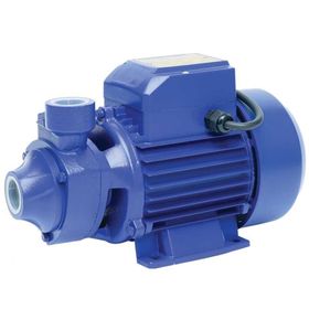 Max Extra QB60 1" 1 HP Preforikal Su Pompası