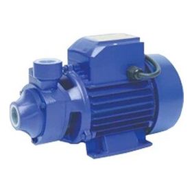 Max Extra QB60 1" 1 HP Preforikal Su Pompası