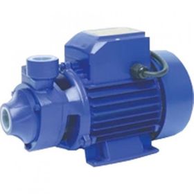 Max Extra QB60 1" 1 HP Preforikal Su Pompası