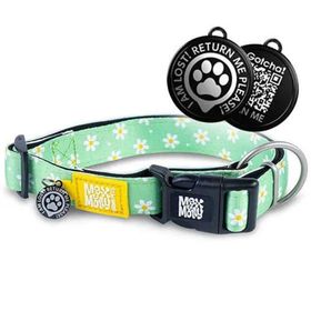Max & Molly Margarite Smart ID L Köpek Boyun Tasması