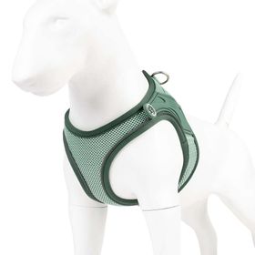 Max & Molly Matrix 2.0 Air Vest Jade Small Köpek Göğüs Tasması