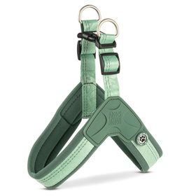 Max & Molly Matrix 2.0 Akıllı Künyeli Q-Fit Jade Large Köpek Göğüs Tasması