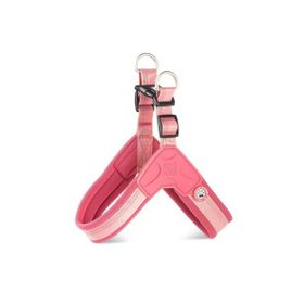 Max & Molly Matrix 2.0 Akıllı Künyeli Q-Fit Rose Medium Köpek Göğüs Tasması