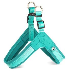 Max & Molly Matrix 2.0 Akıllı Künyeli Q-Fit Turkuaz M Köpek Göğüs Tasması