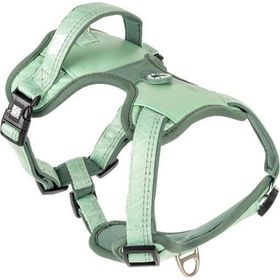 Max & Molly Matrix 2.0 Akıllı Künyeli Sport Jade Medium Köpek Göğüs Tasması