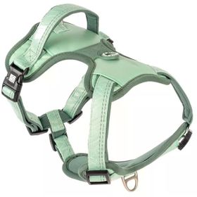 Max & Molly Matrix 2.0 Akıllı Künyeli Sport Jade Small Köpek Göğüs Tasması