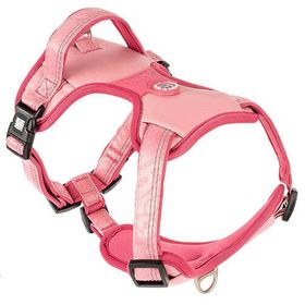 Max & Molly Matrix 2.0 Akıllı Künyeli Sport Rose Medium Köpek Göğüs Tasması