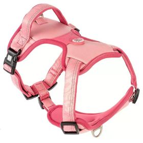 Max & Molly Matrix 2.0 Akıllı Künyeli Sport Rose Small Köpek Göğüs Tasması