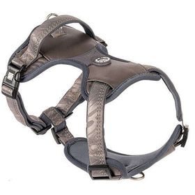 Max & Molly Matrix 2.0 Akıllı Künyeli Sport Stone Small Köpek Göğüs Tasması