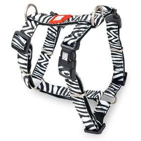 Max & Molly Zebra Desenli S Köpek Göğüs Tasması