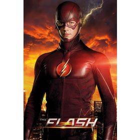 Maxi Justice League Movie Poster