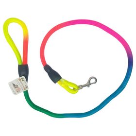 Maxi Life 12 mm x 120 cm Renkli Fitil Köpek Gezdirme Tasması