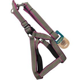 Maxi Life 30x120 cm Köpek Gezdirmeli Yumuşak Dokulu Göğüs Tasması Seti