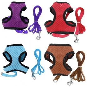 Maxi Life S Boyun 22 cm Olan Köpeklere Elegance Köpek Göğüs Tasması