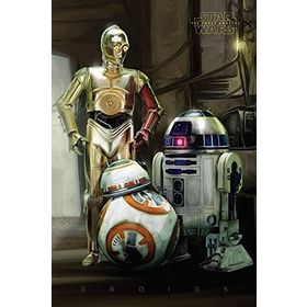 Maxi Star Wars Droids Poster