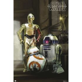 Maxi Star Wars Droids Poster