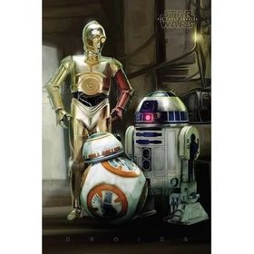 Maxi Star Wars Droids Poster
