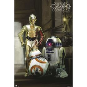 Maxi Star Wars Droids Poster