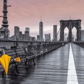 Maxi Yellow Umbrella Poster