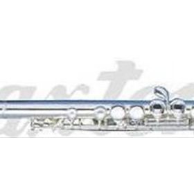 Maxtone TF48ES Flüt E Silver Wcase Aksesuar