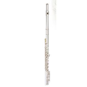 Maxtone TFC-53SE Yan Flüt