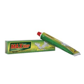 Maxtrap 75 ml Fare Yapışkanı