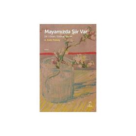 Mayamızda Şiir Var A. Kadir Paksoy Doruk Yayınları