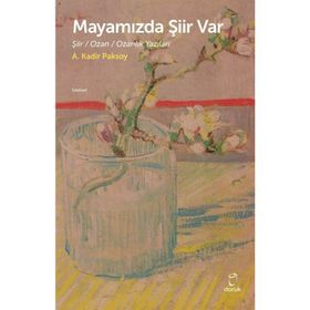 Mayamızda Şiir Var A. Kadir Paksoy Doruk Yayınları