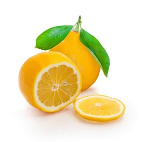 Mayer Limon Fidanı