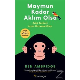 Maymun Kadar Aklım Olsa - Ben Ambridge