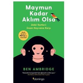 Maymun Kadar Aklım Olsa - Ben Ambridge