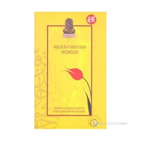 MECALIS-I SEB'A'DAN SEÇMELER - DILAVER GÜRER