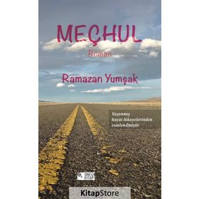 MEÇHUL - GAYE BORALIOĞLU (ISBN:9789750502211)