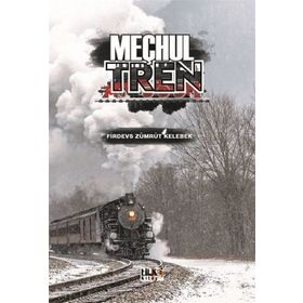 MEÇHUL - GAYE BORALIOĞLU (ISBN:9789750502211)
