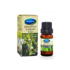 Mecitefendi 10 ml Okaliptus Yaprağı Yağı