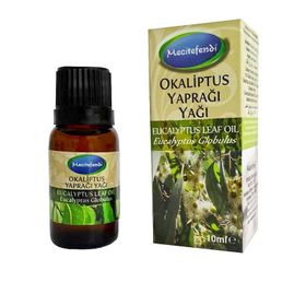 Mecitefendi 10 ml Okaliptus Yaprağı Yağı