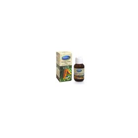 Mecitefendi 50 ml Kudret Narı Yağı