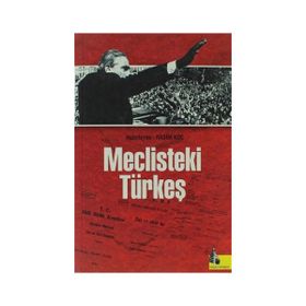 Meclisteki Türkeş - Rasim Koç