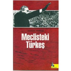 Meclisteki Türkeş - Rasim Koç