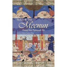 MECNUN ORTAÇAĞ İSLAM TOPLUMUNDA DELI - MICHAEL W. DOLS