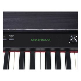 Medeli DP650K Venge Dijital Piyano