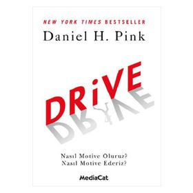 MediaCat Kitapları - Drive (Nasıl Motive Oluruz? Nasıl Motive Ederiz?)