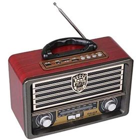 Meier M-113BT Radyolu Bluetooth Hoparlör