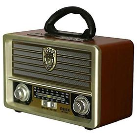 Meier M-113BT Radyolu Bluetooth Hoparlör