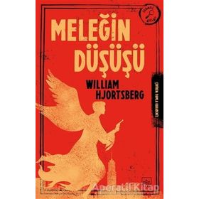 Meleğin Düşüşü - William Hjortsberg