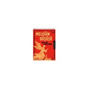Meleğin Düşüşü - William Hjortsberg