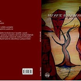 MELEK UYKULARI ŞAİR - İBRAHİM TOPAZ