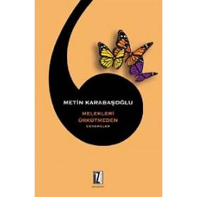 Melekleri Ürkütmeden - Metin Karabaşoğlu