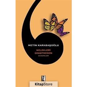 Melekleri Ürkütmeden - Metin Karabaşoğlu